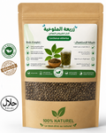 زريعة الملوخية